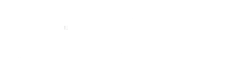 Runtime verification Logo