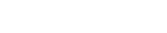 runtime verification Logo